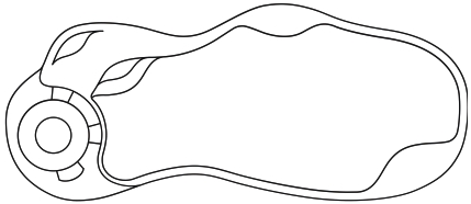 The Serene 37' Model Diagram