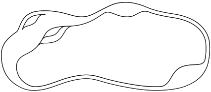 The Eden 27' Model Diagram